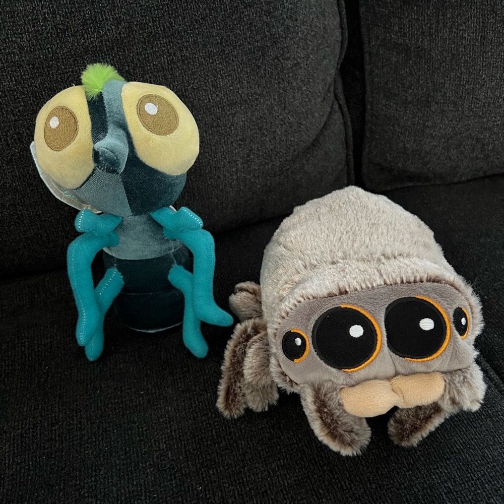 lucas the spider